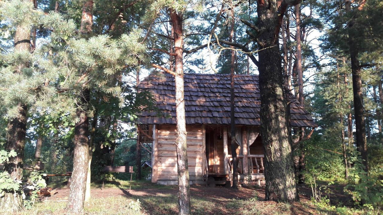 Sho Aghrousadba Zapovednyi Ostrov酒店 外观 照片